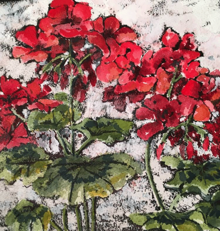 geraniums-web.gif