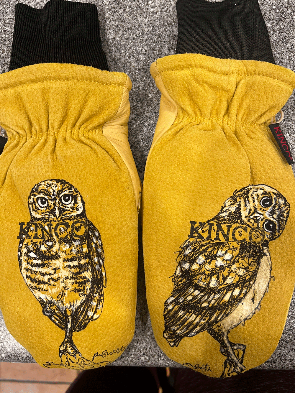 BurrowingOwls.gif