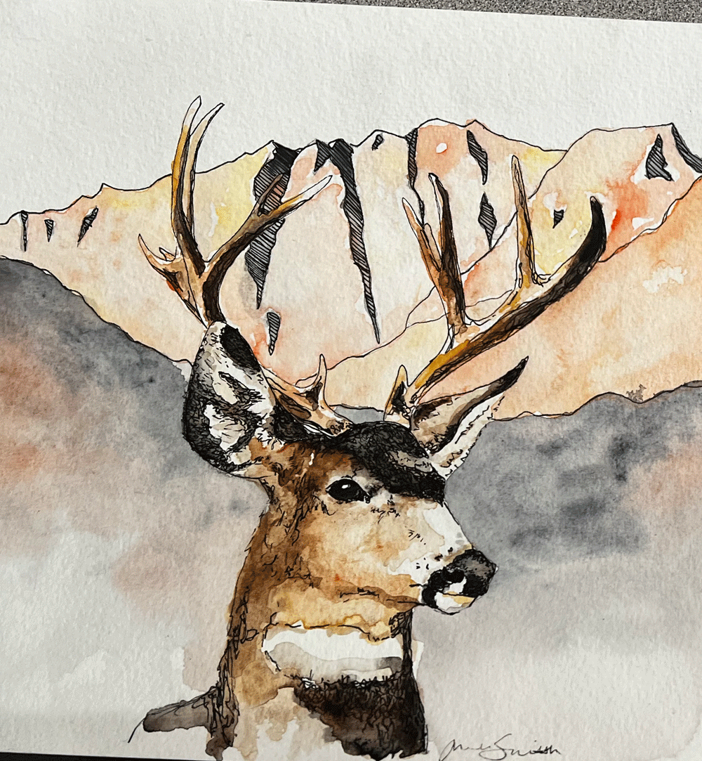 BigHorn&MuleDeer1.gif