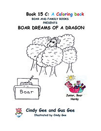 B15 Front Cover- new.jpg