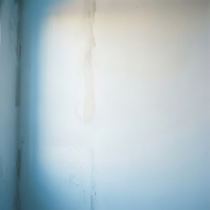 Mold Remediation Services