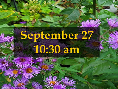 18th Sunday after Pentecost