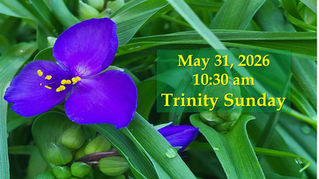 Trinity Sunday