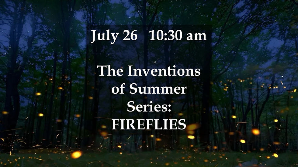 FIREFLIES
