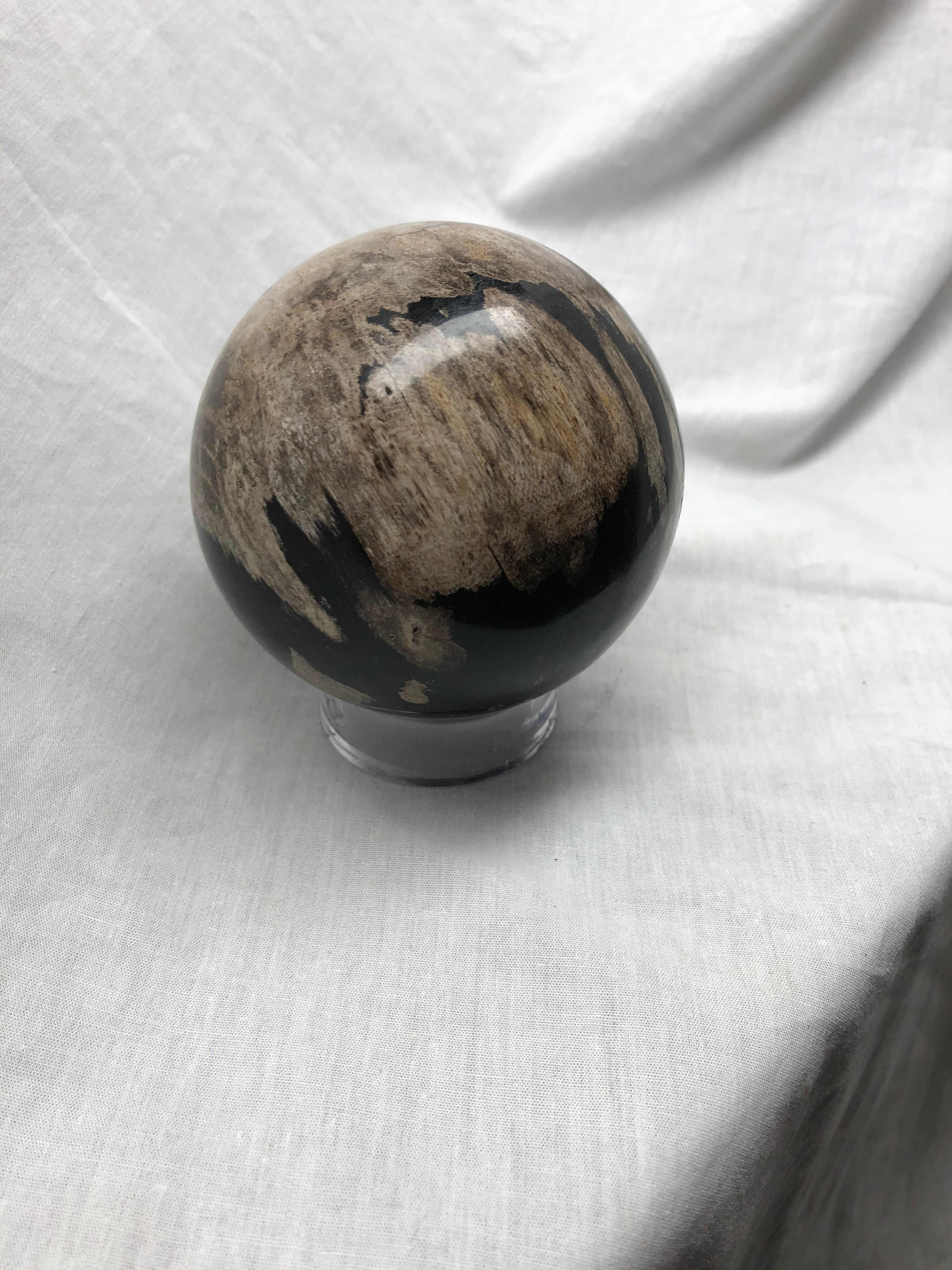Petrified Wood Sphere 