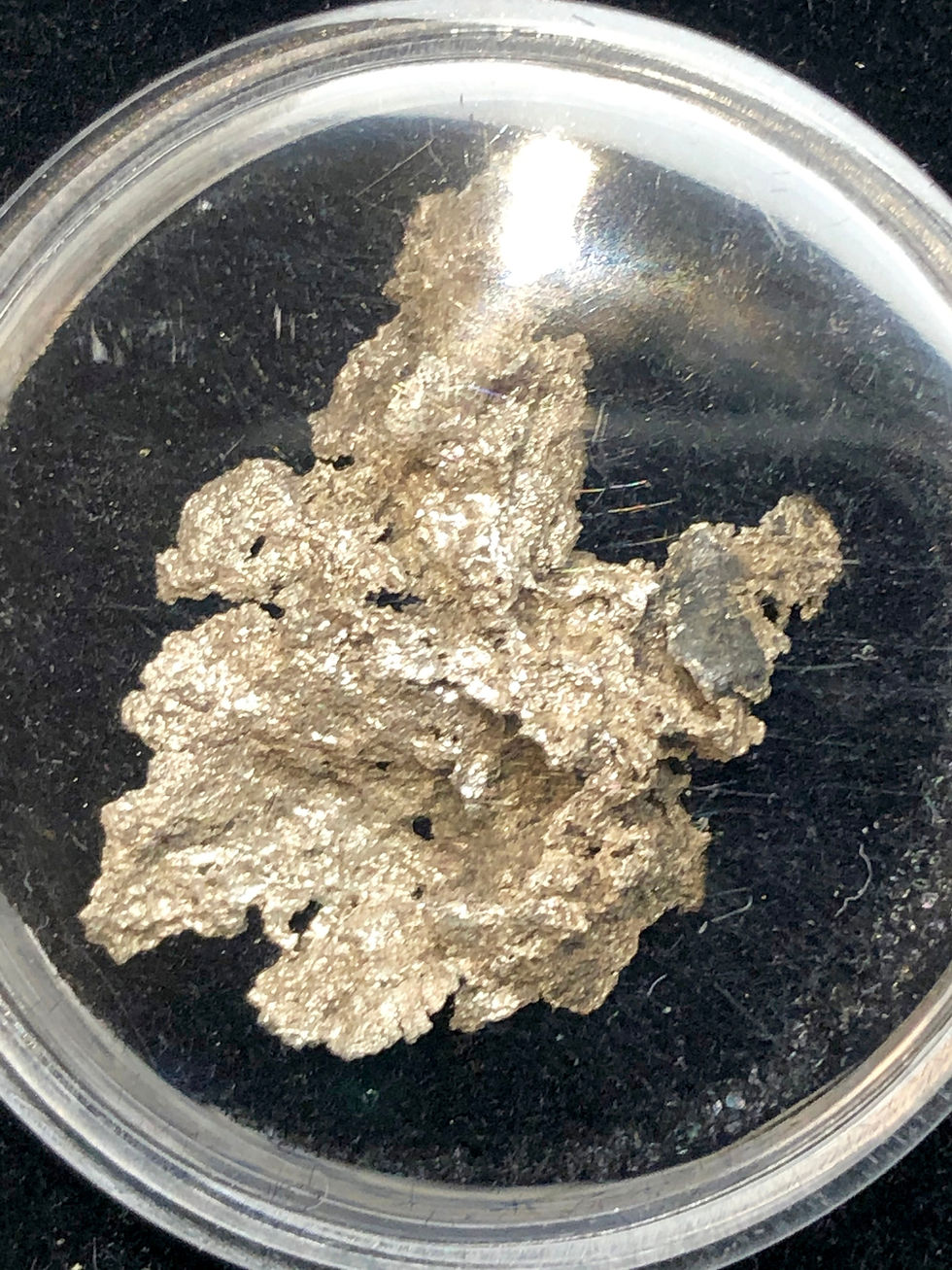 Thumbnail: Native Silver Leaf