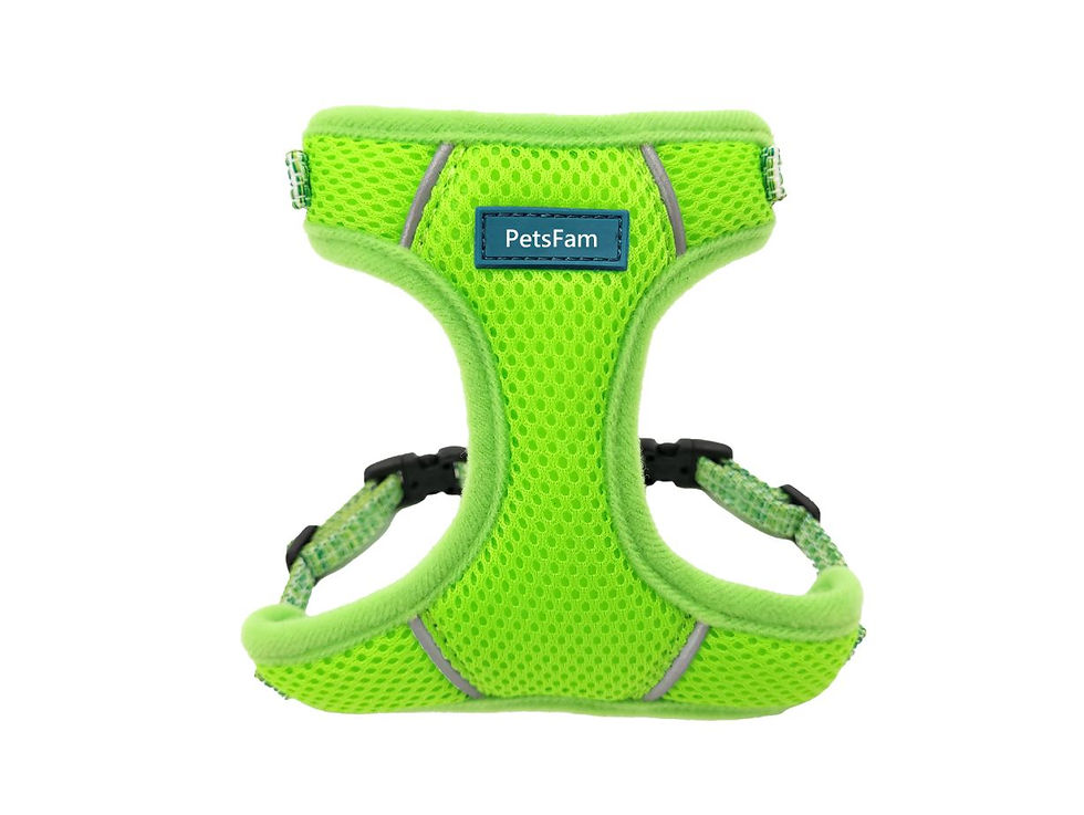 9201 Air Harness with Leash for cats and dogs-Lime 1