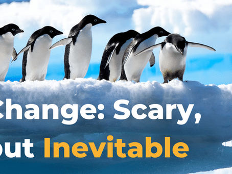 Risk Assessment 101: How to Identify and Mitigate Risk for Your Business