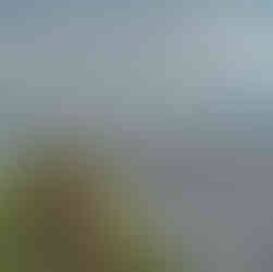 A long, moss-covered stone pier stretching out into the calm sea under a cloudy sky, representing the serene coastline of Pärnu, Estonia.