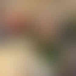 A diverse team engaging in a collaborative workshop discussion at Aspirin Business Solutions. Participants are standing in a circle holding workbook materials, sharing ideas and smiling. The atmosphere is relaxed and inclusive, illustrating a psychologically safe environment for team development.