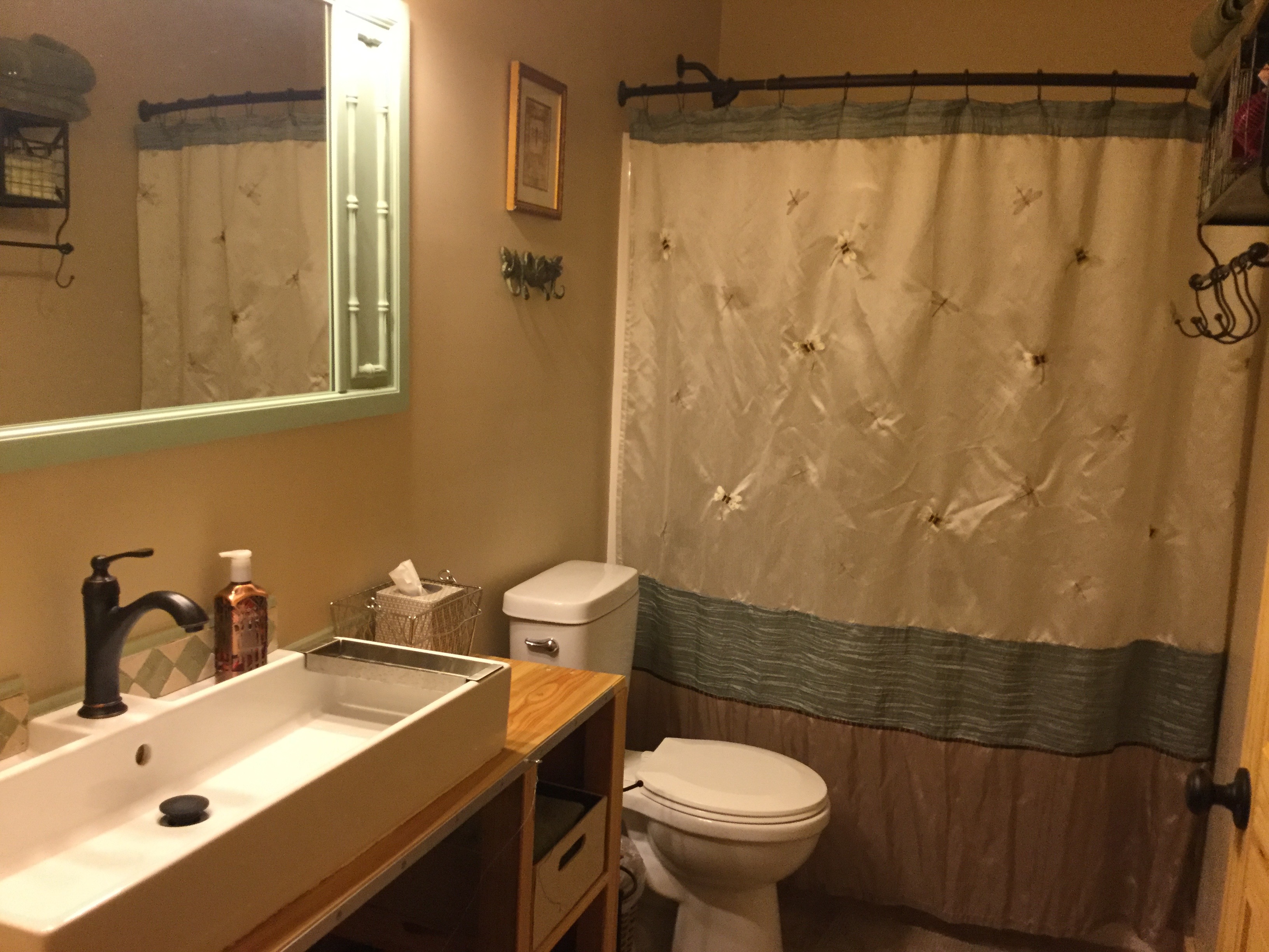 Basement Bathroom