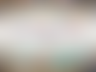 Macro Signals for November 2025