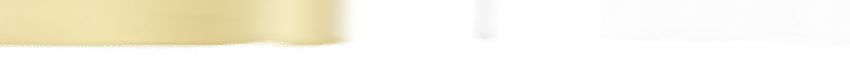1200x90.gif