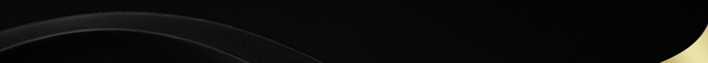 1000x90.gif