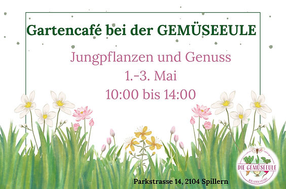 Das Gartencafé der GEMÜSEEULE.jpg