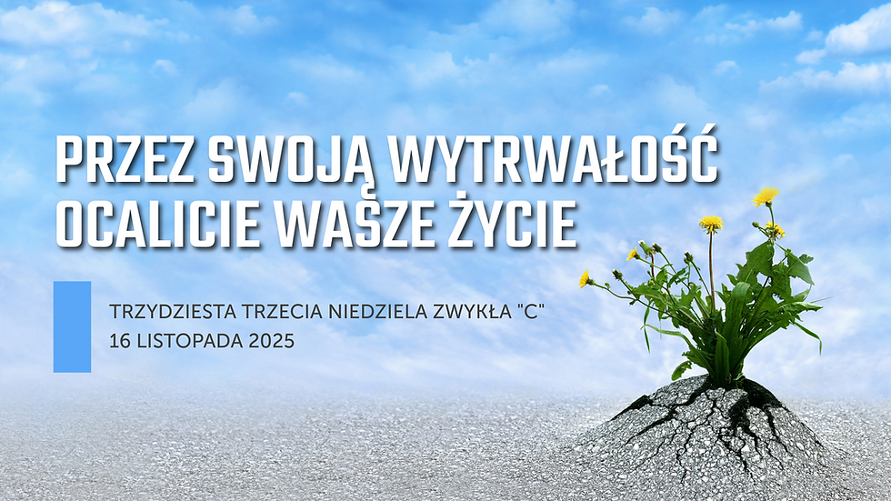 Ogłoszenia Duszpasterskie - XXXIII Niedziela Zwykła „C” - 16 listopada 2025