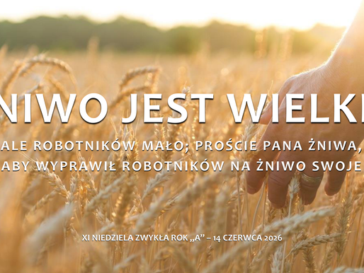 Ogłoszenia duszpasterskie - Jedenasta Niedziela Zwykła "A" - 14 czerwca 2026