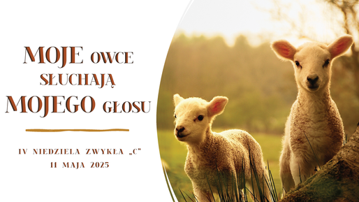 OGŁOSZENIA DUSZPASTERSKIE - CZWARTA NIEDZIELA WIELKANOCNA "C" - 11 MAJA 2025