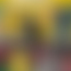 Opening Books, Opening Hearts:ABC Literacy Week