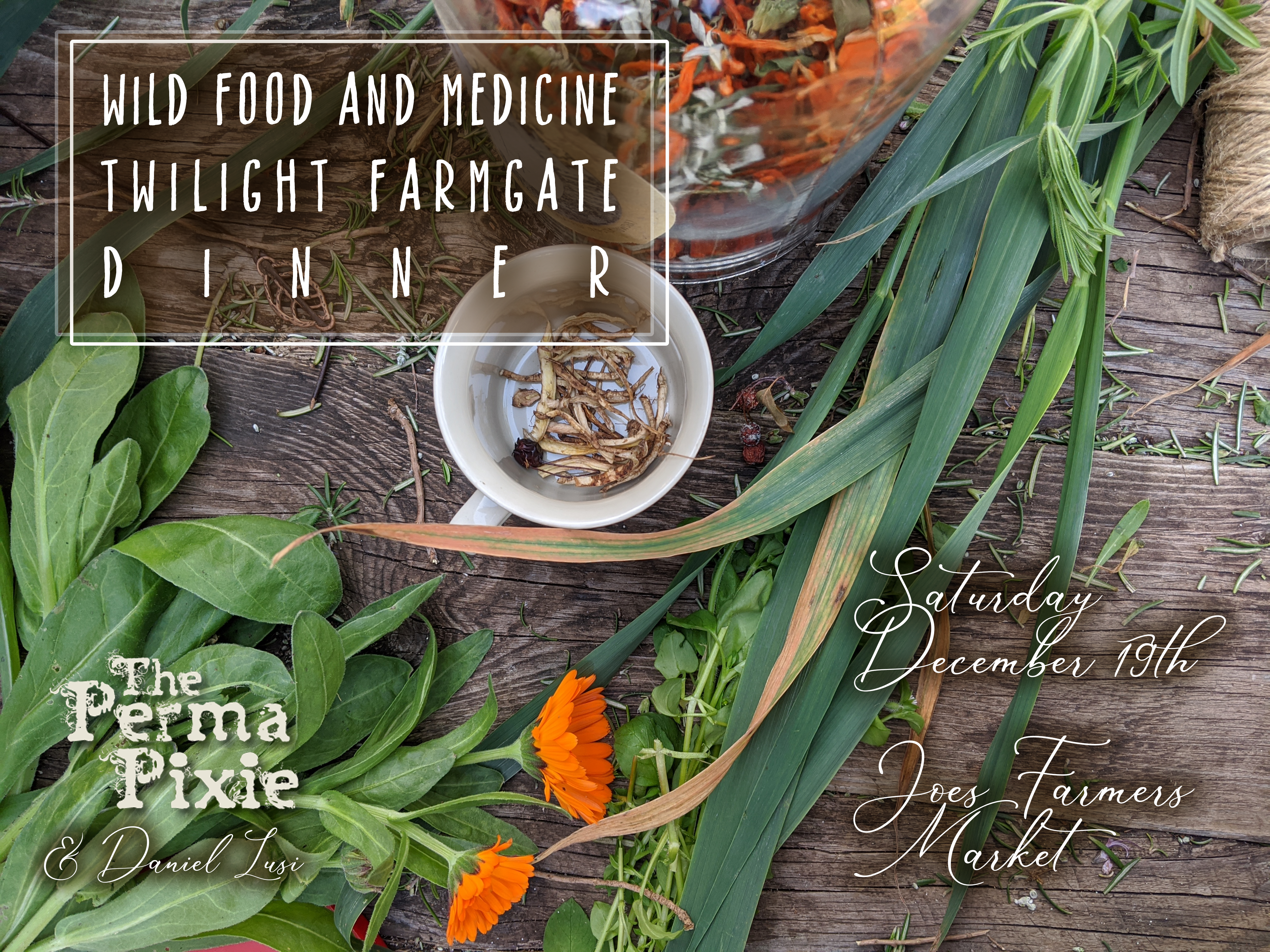 Wild Food and Medicine Dinner