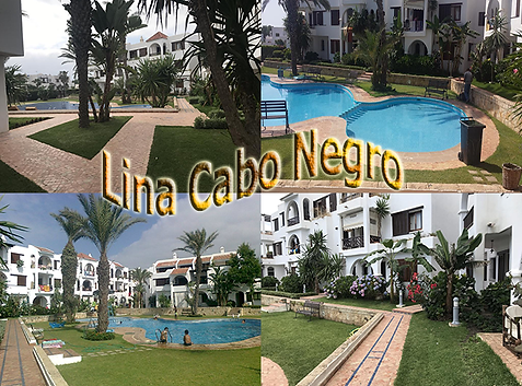 agence immobilier et tourisme martil-Lina Cabo 11.png