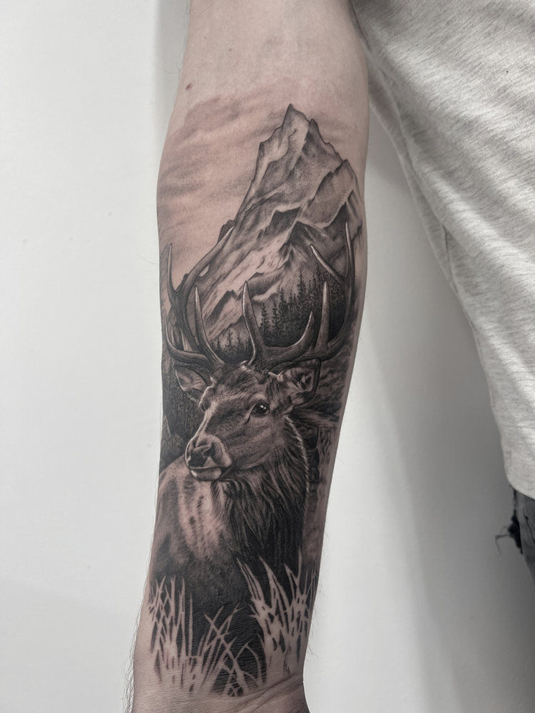 Black and grey realism stag and mountains tattoo by Melinda, Rose & Thorn Tattoo Studio Toowoomba