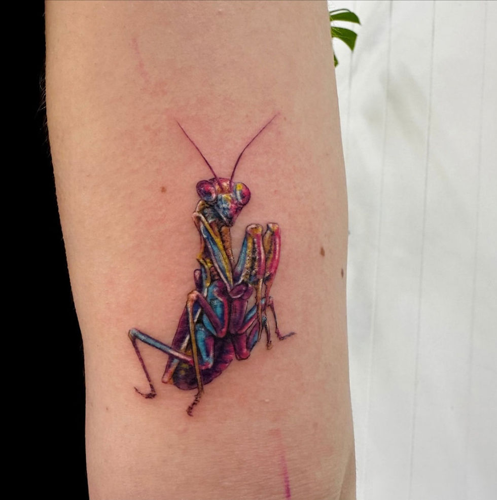 Colour realism praying mantis tattoo, Rose & Thorn Tattoo Studio Toowoomba