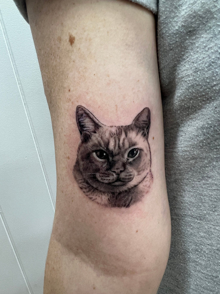 Black and grey cat pet portrait tattoo by Melinda, Rose & Thorn Tattoo Studio Toowoomba