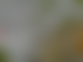 Article dans le web magazine Savoir Animal