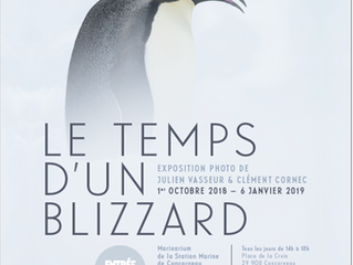 Le Temps d'un Blizzard de retour au Marinarium
