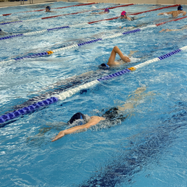 County Development - Bluefins Squad Spotlight