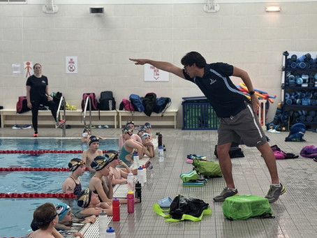 HOW TO JOIN BASINGSTOKE BLUEFINS SWIMMING CLUB 💙