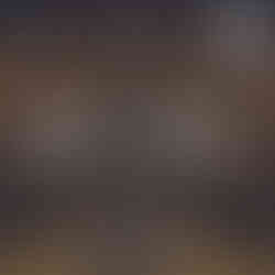 Harry Potter Night event flyer for Myrtle’s Speakeasy presented by Parker’s After Dark, featuring event date, time, and details.