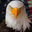 Writer: Lawyers for Freedom