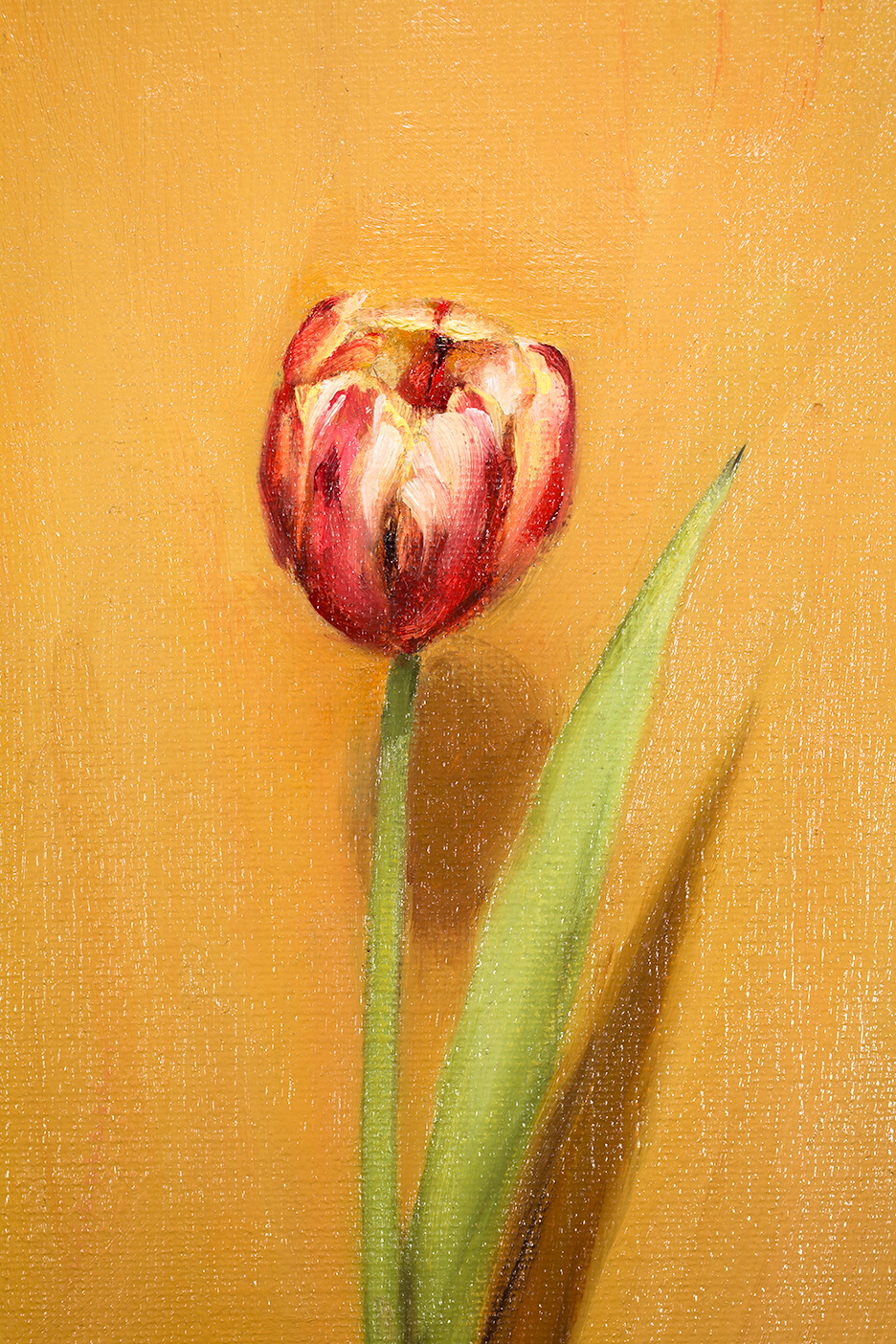 Thumbnail: a still life oil painting depicting a red tulip with a warm yellow backdrop