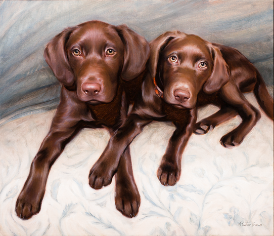 Oil Painting pet portrait depicting two chocolate labs 