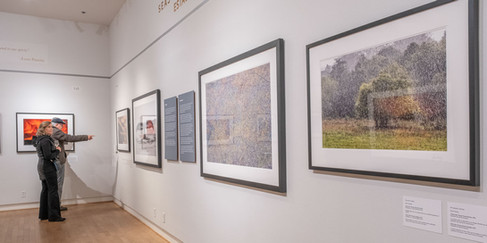 Bay Photo and Frans Lanting - Bay of Life