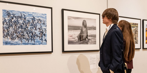 Bay Photo and Frans Lanting - Bay of LIfe