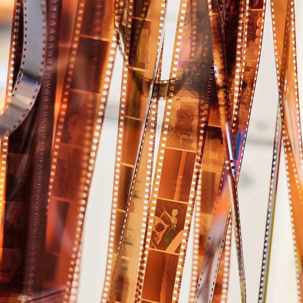 Bella Hadid smiling, holding a camera in a sunny outdoor setting. She wears gold jewelry and a red shawl, seated against a blue sky backdrop.