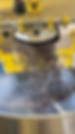 YellowRoaster2.png
