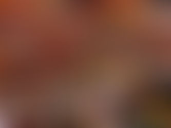 La población de India superará a la de China en 2023, según ONU