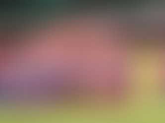 Albirroja jugará en junio ante Nicaragua