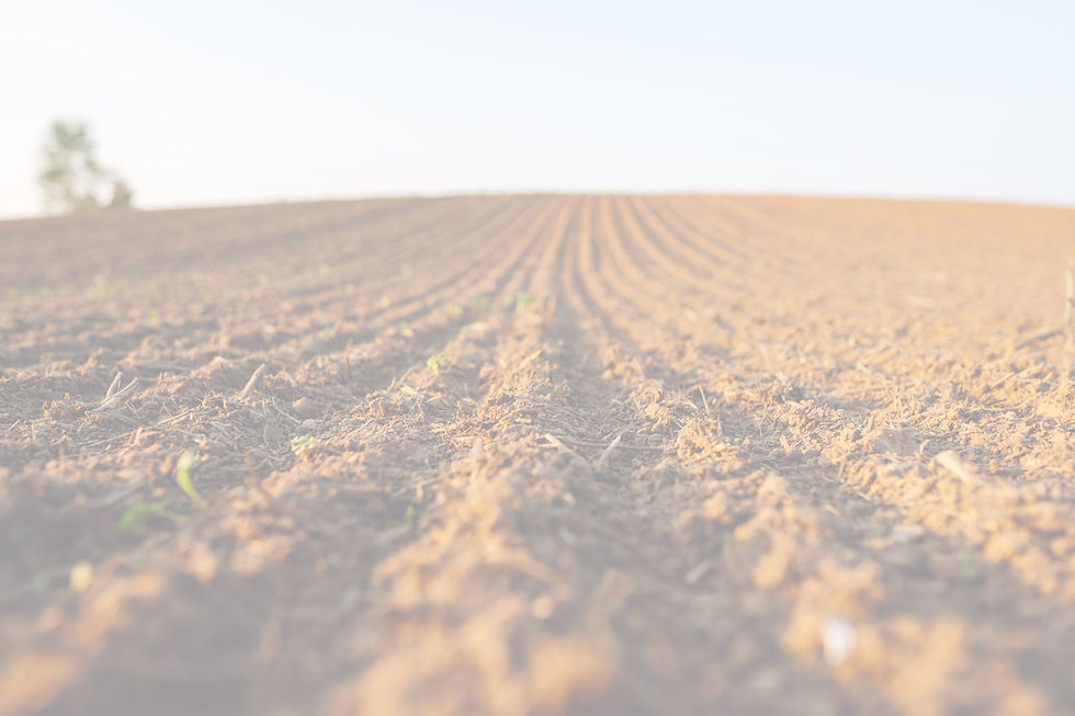 Work with Us - Pioneer Farmer