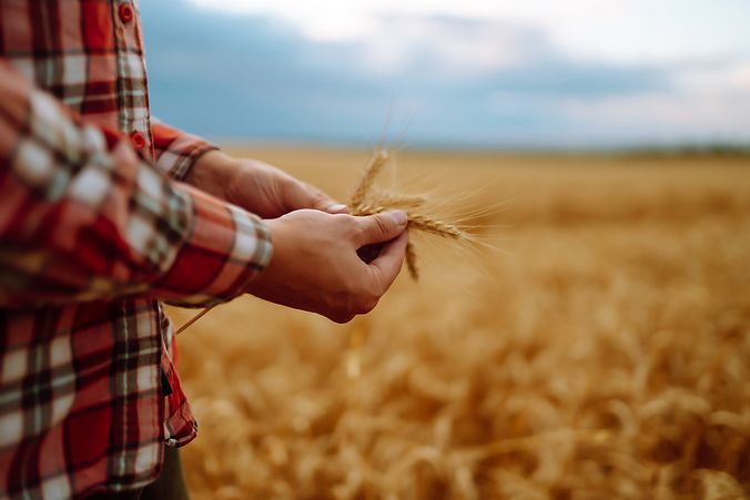The Problem Ag Business Owners Face - Pioneer Farmer