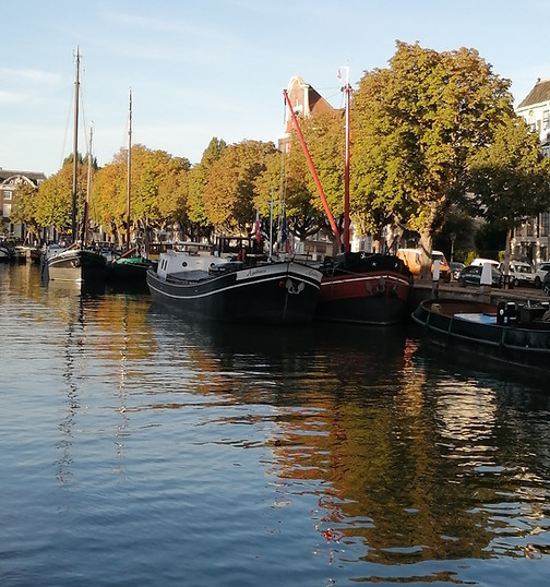 IMG_20221009_090937.jpg