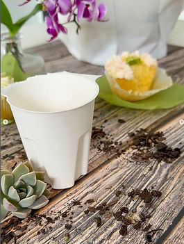 Cupcake Display Holder - gardening idea