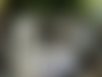 Warum Catering mit einem Food-Trailer die perfekte Wahl für dein Event ist