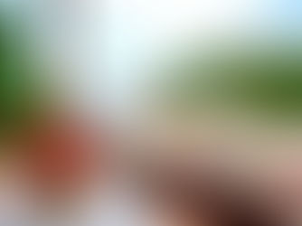 Vista da Pousada Morro Tropical