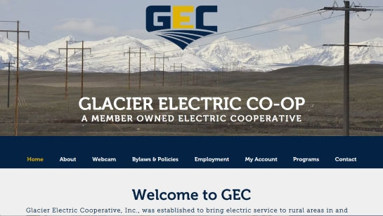 Electric Service Company Website