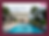 resort website design